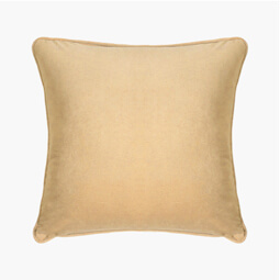 Shop Velour Cushion Cover